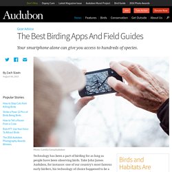 The Best Birding Apps And Field Guides