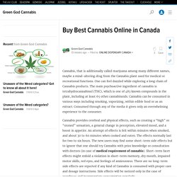 Buy Best Cannabis Online in Canada
