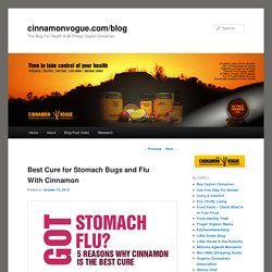 Best Cure for Stomach Bugs and Flu with Cinnamoncinnamonvogue.com/blog