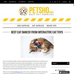 Best Cat Dancer from Interactive Cat Toys