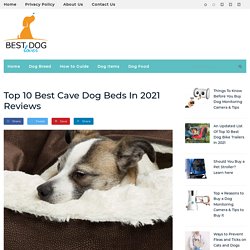 10 Best Dog Cave Beds