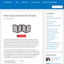 Best Dog Gates For The House