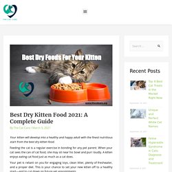 Best Dry Kitten Food, The 5 Best Kitten Food in 2021 - The Cat Care