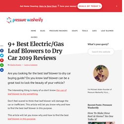 Best Electric/Gas Leaf Blowers to Dry Car 2019 Reviews