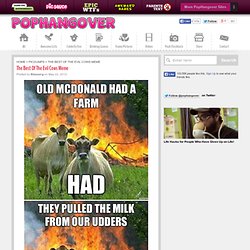 Blog Archive & The Best Of The Evil Cows Meme