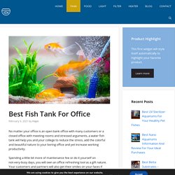 Best Fish Tank For Office - 2021