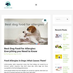 Best Dog Food for Skin Allergies