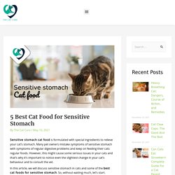 Best Cat Food for Sensitive Stomach, Sensitive Stomach Cat Food - TCC