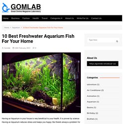 10 Best Freshwater Aquarium Fish For Your Home