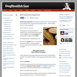 Best Grain Free Dog Foods