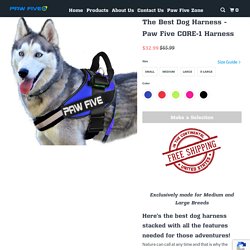 Best Dog Harnesses for all Types of Dog 2021 - Paw Five