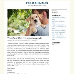 The Best Pet Insurance guide – For O Animales