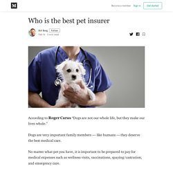 Who is the best pet insurer - Bill Berg - Medium