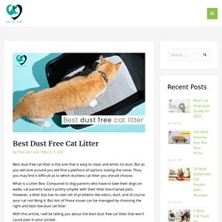 Best Dust Free Cat Litter