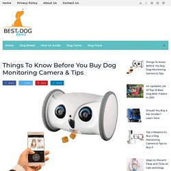 Buy Best Dog Monitoring Camera - Your Dog Lover