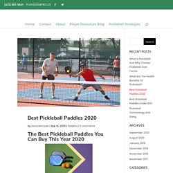 Best Pickleball Paddles 2020 - Dink Pro