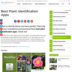 Best Plant Identification Apps
