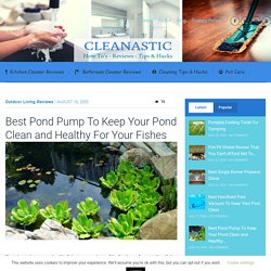 Best Pond Pump To Keep Your Pond Clean and Healthy For Your Fishes