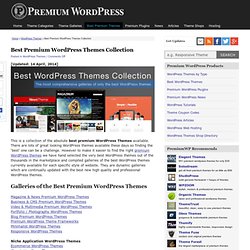 Best Premium WordPress Themes