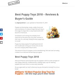 Best Puppy Toys 2018 (Reviews)