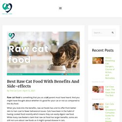 Best Raw Cat Food, 5 Best Raw Cat Food 2021 - The Cat Care