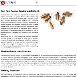 Best Wasp Removal Service in Atlanta, GA