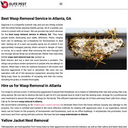 Best Wasp Removal Service in Atlanta, GA