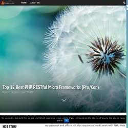 Top 12 Best PHP RESTful Micro Frameworks (Pro/Con)
