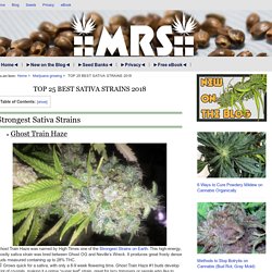 TOP 25 BEST SATIVA STRAINS 2018