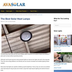 The 10 Best Solar Heat Lamp Reviews of 2021 - Avasolar