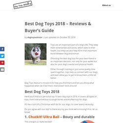 Best Dog Toys 2018 (Reviews)