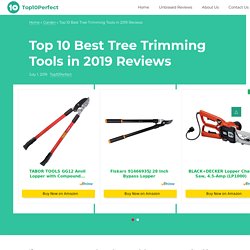 Top 10 Best Tree Trimming Tools in 2019 Reviews