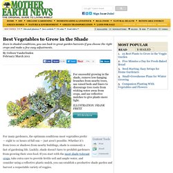 Best Vegetables to Grow in the Shade