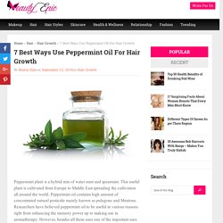7 Best Ways Use Peppermint Oil For Hair Growth