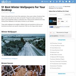 51 Best Winter Wallpapers For Your Desktop