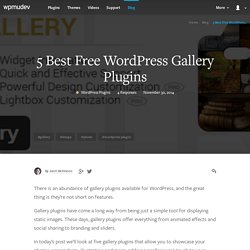 5 Best Free WordPress Gallery Plugins