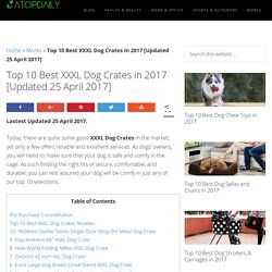 Top 10 Best XXXL Dog Crates in 2017 [Updated 25 April 2017]