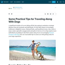 Some Practical Tips for Traveling Along With Dogs