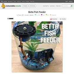 Betta Fish Feeder: 6 Steps