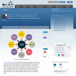 Why is it Better to Leave the CMS Choice to Your Web Developers!