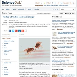 Fruit flies with better sex lives live longer
