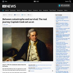 Between catastrophe and survival: The real journey Captain Cook set us on