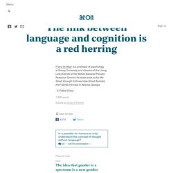 The link between language and cognition is a red herring