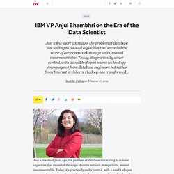 IBM VP Anjul Bhambhri on the Era of the Data Scientist