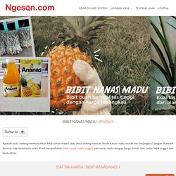 Bibit Nanas Madu Unggul Pemalang Murah : Ananas