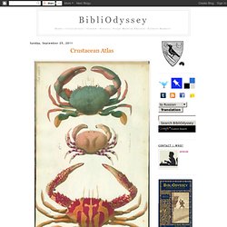 Crustacean Atlas