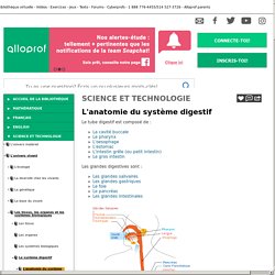 Bibliothèque virtuelle L'anatomie du système digestif