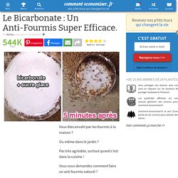 Le Bicarbonate : Un Anti-Fourmis Super Efficace Que Tout le Monde Devrait Connaître.