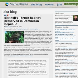 Bicknell's Thrush habitat preserved in Dominican Republic