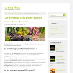 Les bienfaits de la phytothérapie - Le Blog Phyto